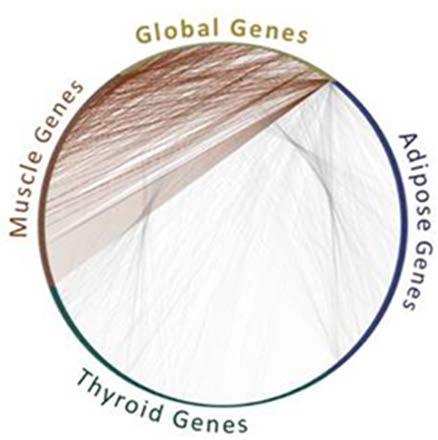 Feasible protein interactions change between tissues. Yeger-Lotem E., Sharan R.