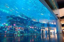 THE DUBAI AQUARIUM AND UNDERWATER ZOO Το Θαλάσσιο πάρκο είναι κομμάτι του Εμπορικού κέντρου του Ντουμπάι και η ανάδοχος εταιρεία είναι η Oceanis Australia Group.