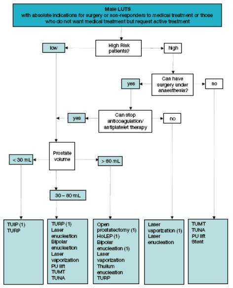 EAU guidelines on Management of non-neurogenic male LUTS, 2016 Department