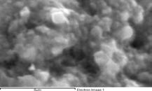 30- (α)επικαλυμμένο δοκίμιο με εμπορική σκόνη υδροξυαπατίτη Sigma Aldrich με τη μέθοδο του υγρού
