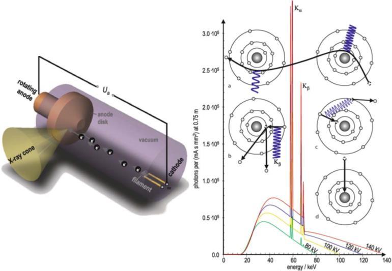 цеви. Са повећањем напона на рендгенској цеви повећава се и интензитет линијског спектра док на линијски спектар повећање напона не утиче.