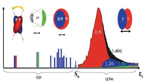 M1 Scissors Mode and Collectivity Pygmy Dipole Resonances; equation of state / neutron rich matter Ground state