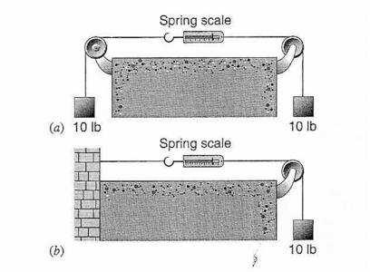 What is the reading of the scale? (Ignore the weight of the scale.) 10_Newton/e_10_8_075.