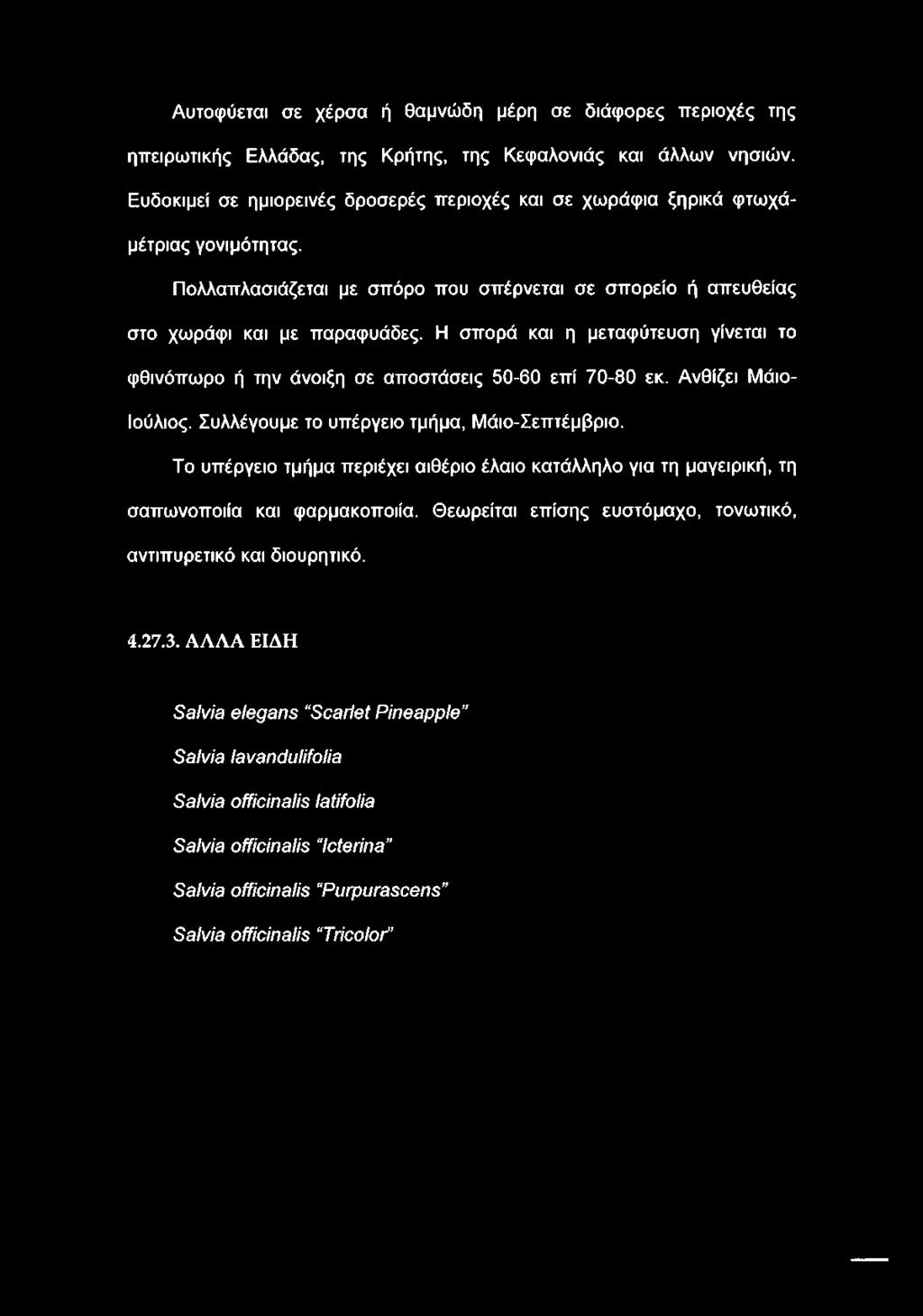 Η σπορά και η μεταφύτευση γίνεται το φθινόπωρο ή την άνοιξη σε αποστάσεις 50-60 επί 70-80 εκ. Ανθίζει Μάιο- Ιούλιος. Συλλέγουμε το υπέργειο τμήμα, Μάιο-Σεπτέμβριο.