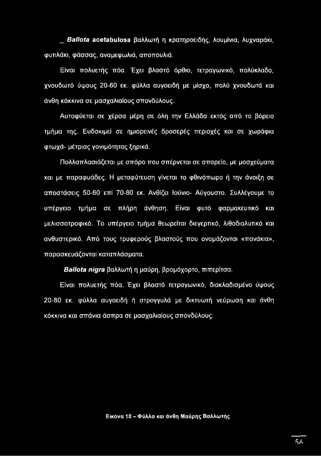 _ Ballota acetabulosa βαλλωτή η κρατηροειδής, λουμίνια, λυχναράκι, φυτιλάκι, φάσσας, αναμεφωλιά, αποπουλιά. Είναι πολυετής πόα. Έχει βλαστό όρθιο, τετραγωνικό, πολύκλαδο, χνουδωτό ύψους 20-60 εκ.