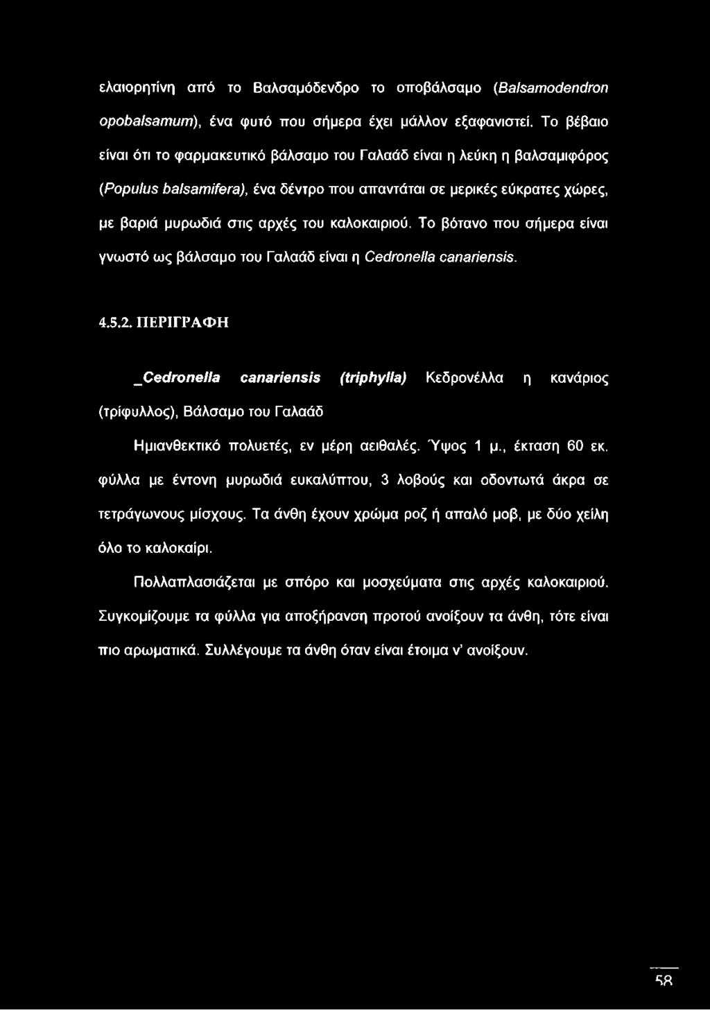 χώρες, με βαριά μυρωδιά στις αρχές του καλοκαιριού. Το βότανο που σήμερα είναι γνωστό ως βάλσαμο του Γαλαάδ είναι η Cedronella canariensis. 4.5.2.