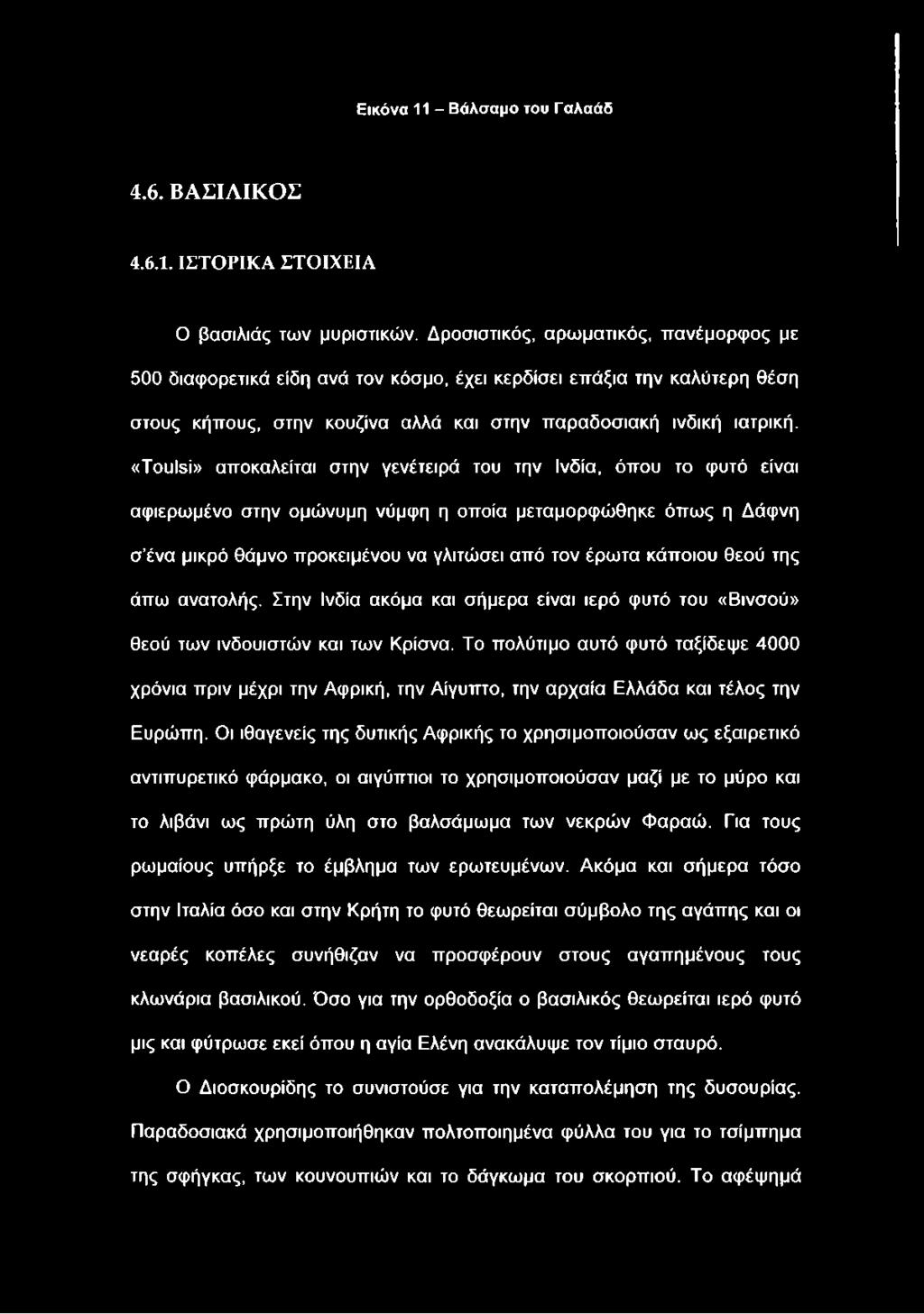 «ΤουΙεί» αποκαλείται στην γενέτειρά του την Ινδία, όπου το φυτό είναι αφιερωμένο στην ομώνυμη νύμφη η οποία μεταμορφώθηκε όπως η Δάφνη σ ένα μικρό θάμνο προκειμένου να γλιτώσει από τον έρωτα κάποιου