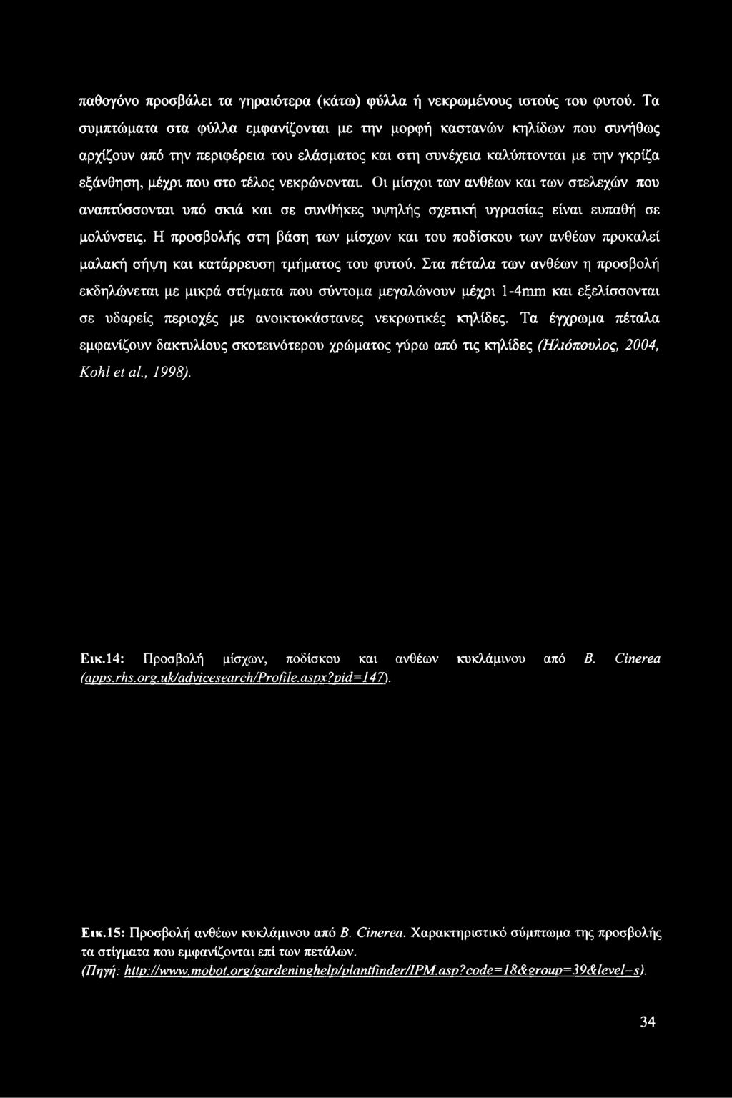 νεκρώνονται. Οι μίσχοι των ανθέων και των στελεχών που αναπτύσσονται υπό σκιά και σε συνθήκες υψηλής σχετική υγρασίας είναι ευπαθή σε μολύνσεις.