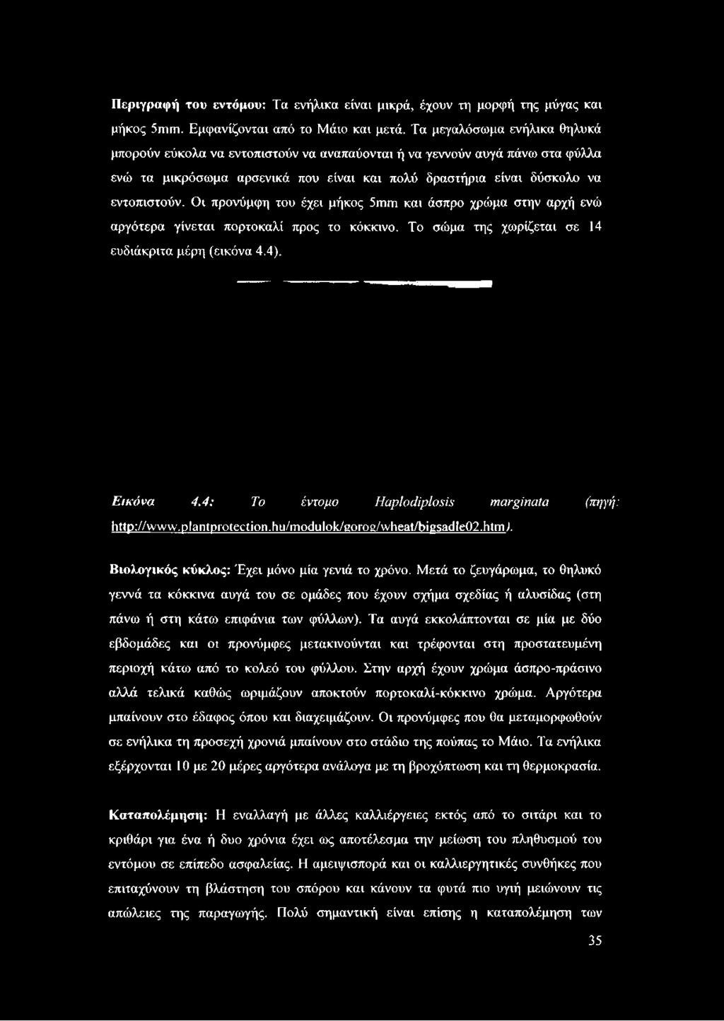 Οι προνύμφη του έχει μήκος 5τηΓπ και άσπρο χρώμα στην αρχή ενώ αργότερα γίνεται πορτοκαλί προς το κόκκινο. Το σώμα της χωρίζεται σε 14 ευδιάκριτα μέρη (εικόνα 4.4). Εικόνα 4.
