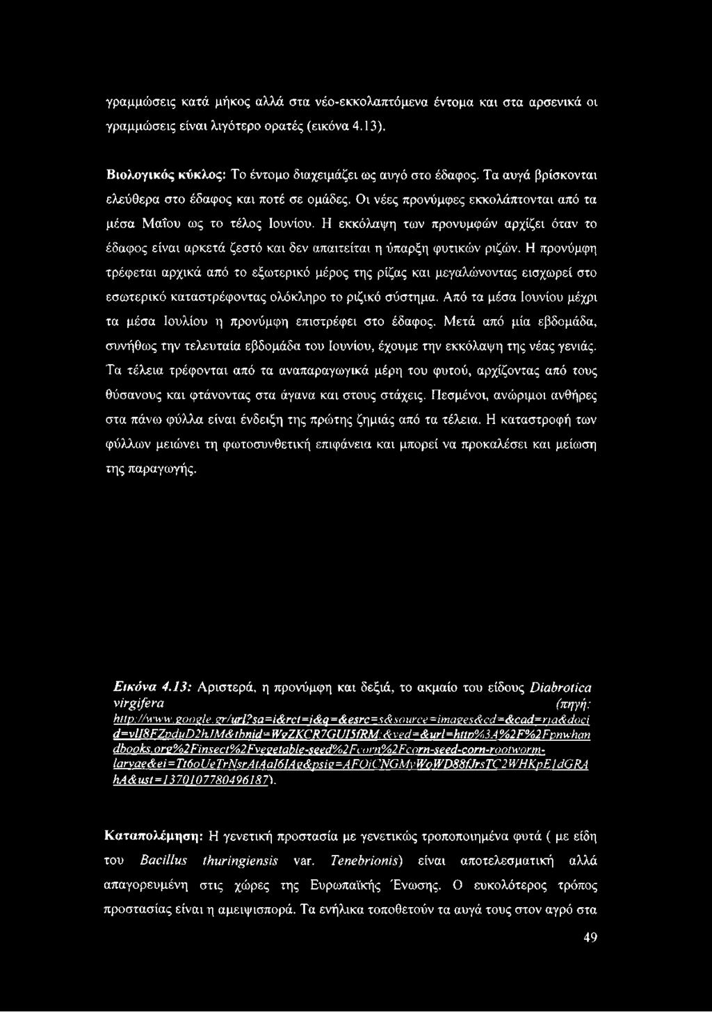 Η εκκόλαψη των προνυμφών αρχίζει όταν το έδαφος είναι αρκετά ζεστό και δεν απαιτείται η ύπαρξη φυτικών ριζών.