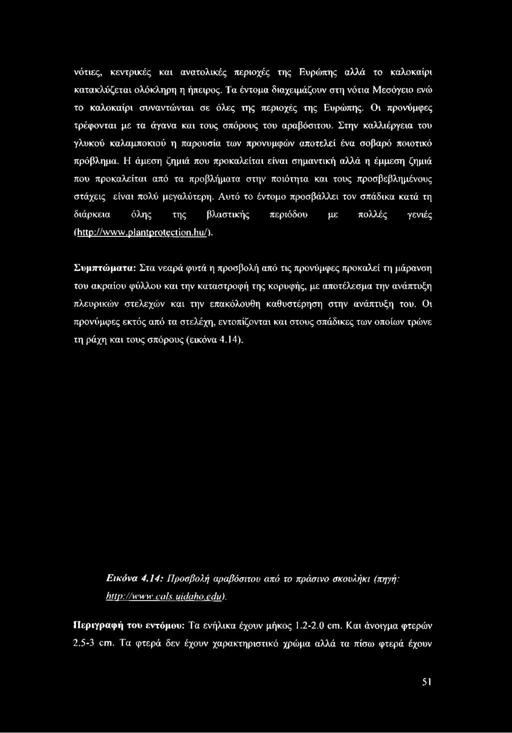 Στην καλλιέργεια του γλυκού καλαμποκιού η παρουσία των προνυμφών αποτελεί ένα σοβαρό ποιοτικό πρόβλημα.