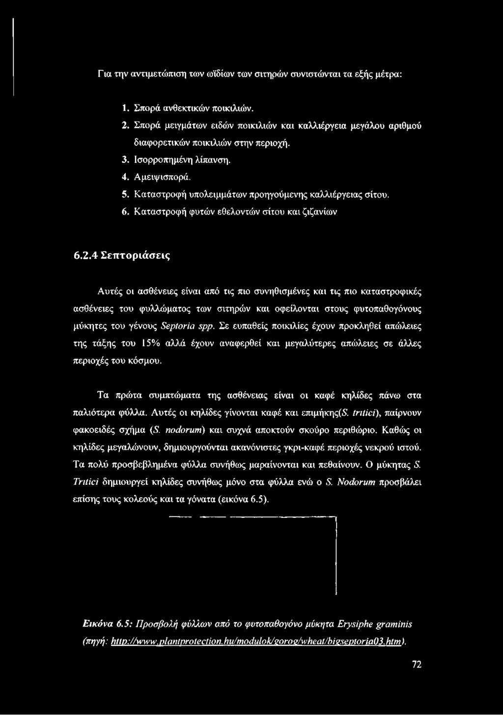 Καταστροφή υπολειμμάτων προηγούμενης καλλιέργειας σίτου. 6. Καταστροφή φυτών εθελοντών σίτου και ζιζανίων 6.2.