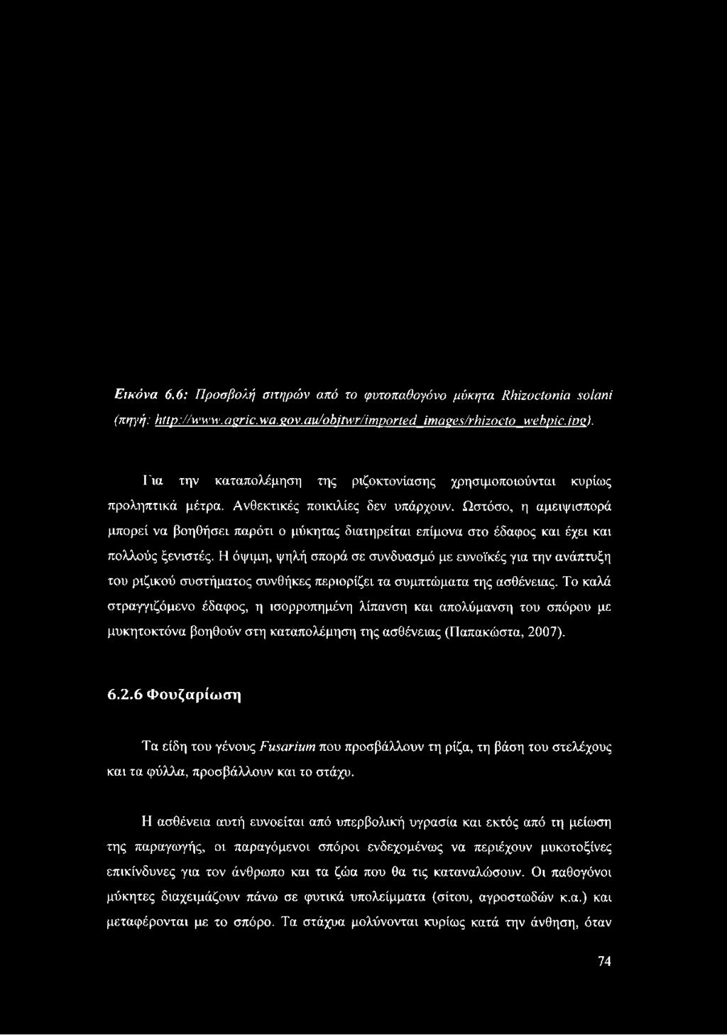 Ωστόσο, η αμειψισπορά μπορεί να βοηθήσει παρότι ο μύκητας διατηρείται επίμονα στο έδαφος και έχει και πολλούς ξενιστές.