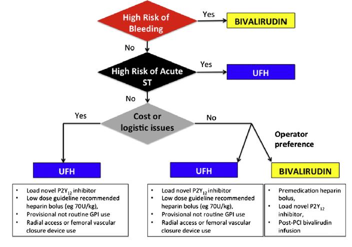 STEMI; Primary PCI Proposed algorithm for