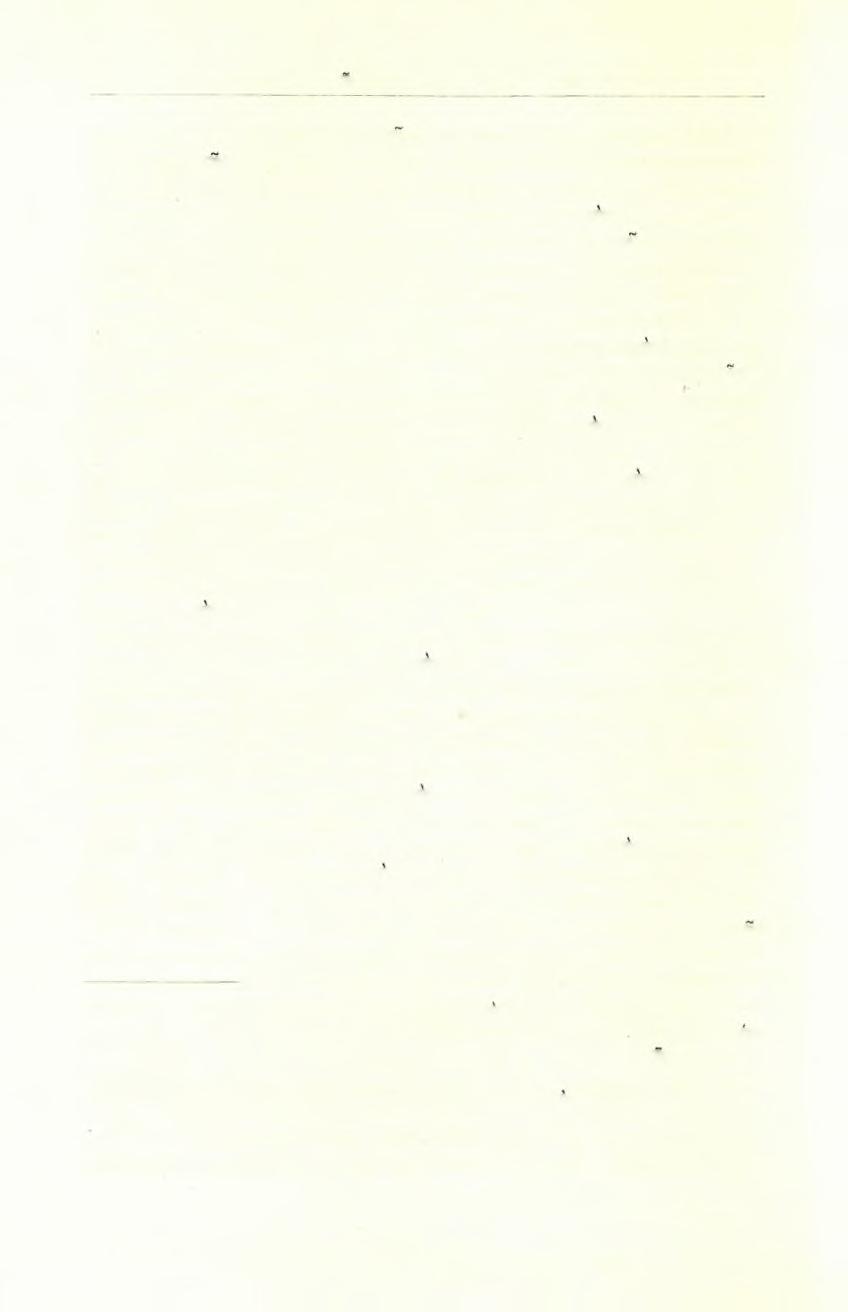 40 Πρακτικά της Αρχαιολογικής 'Εταιρείας 1969 3. Δεκανούμμιον Ιουστινιανού Α' (νομισματ. Θεσσαλ.) (Ν39). Κάτωθεν της προθέσεως. 4. Ιωάννης Β' Κομνηνός (1118-1143) (Ν 6) εις τό διακονικόν. 5.