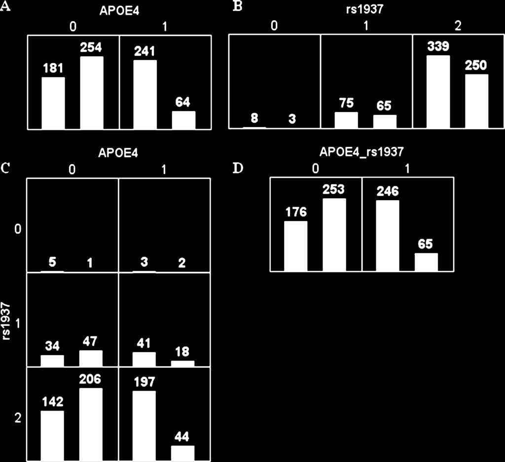 (described in detail in Table 11). For each genotype combination, the number of cases (left bar in boxes) and control individuals (right bar in boxes) is displayed.