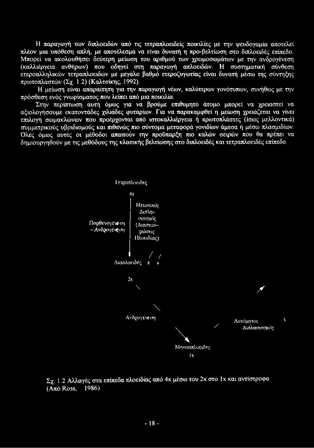 Η συστηματική σύνθεση ετεροαλληλικών τετραπλοειδών με μεγάλο βαθμό ετεροζυγωτίας είναι δυνατή μέσω της σύντηξης πρωτοπλαστών (Σχ. 1.2) (Καλτσίκης, 1992).