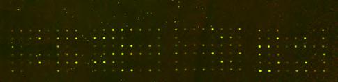 διεύθυνση http://smd.stanford.