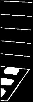 Chemicell ΣΥΝΘΕΣΗ Dextran iron oxide composite particles