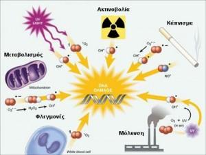 Το κάπνισμα Η δυτική επεξεργασμένη και γενετικά τροποποιημένη διατροφή Η περιβαλλοντική ρύπανση (μόλυνση νερού, αέρα) Η ηλιακή (υπεριώδης) ακτινοβολία Τα χημικά φάρμακα Το αλκοόλ Τα χημικά πρόσθετα