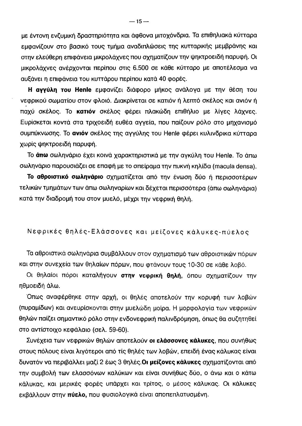 15 με έντονη ενζυμική δραστηριότητα και άφθονα μιτοχόνδρια.