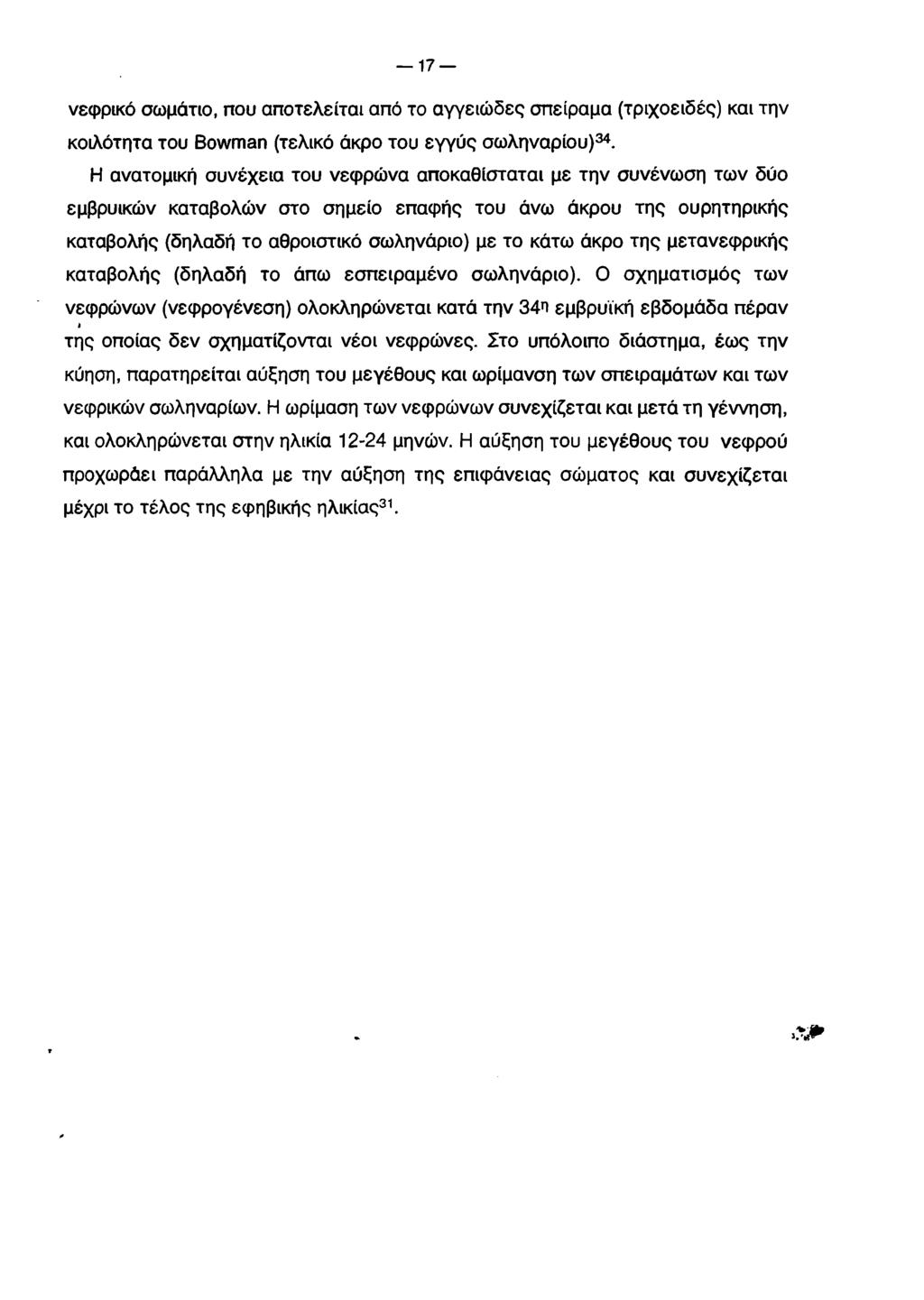 17 νεφρικό σωμάτιο, που αποτελείται από το αγγειώδες σπείραμα (τριχοειδές) και την κοιλότητα του Bowman (τελικό άκρο του εγγύς σωληνάριου)34.