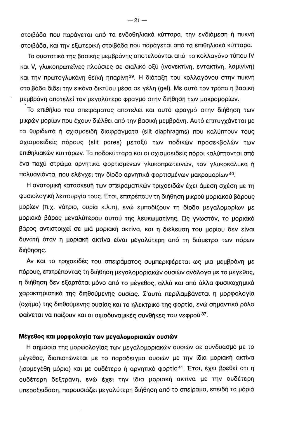 2 1 στοιβάδα που παράγεται από τα ενδοθηλιακά κύτταρα, την ενδιάμεση ή πυκνή στοιβάδα, και την εξωτερική στοιβάδα που παράγεται από τα επιθηλιακά κύτταρα.