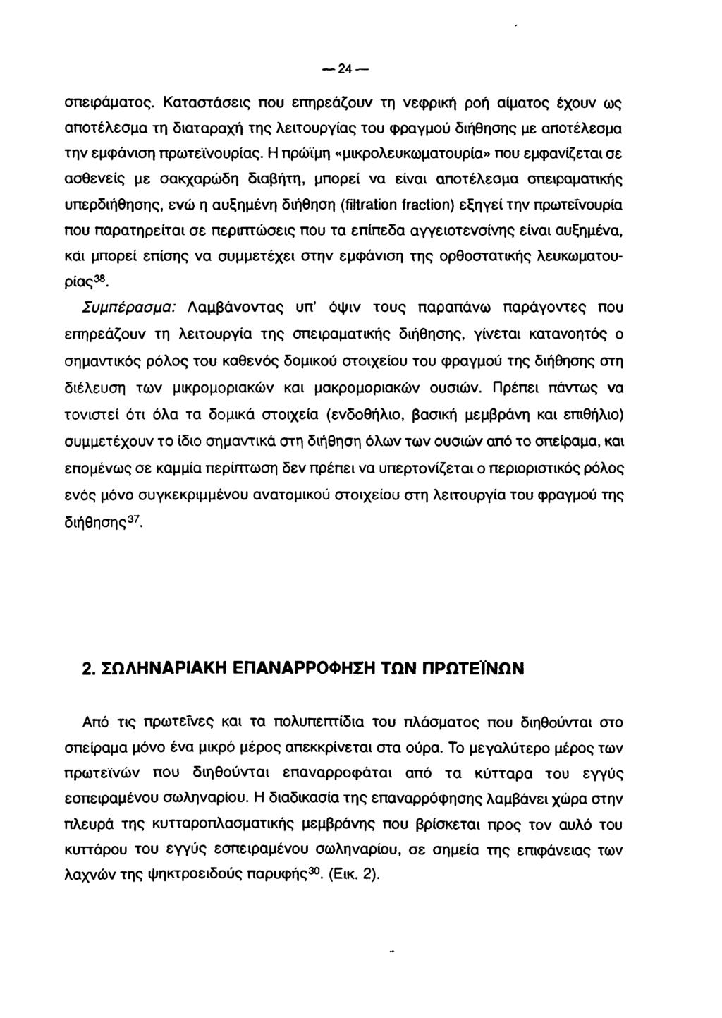 24 σπειράματος. Καταστάσεις που επηρεάζουν τη νεφρική ροή αίματος έχουν ως αποτέλεσμα τη διαταραχή της λειτουργίας του φραγμού διήθησης με αποτέλεσμα την εμφάνιση πρωτεΐνουρίας.