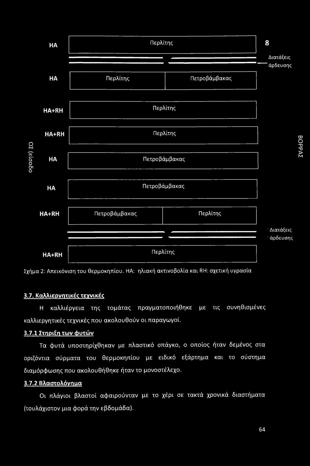 Καλλιεργητικές τεχνικές Η καλλιέργεια της τομάτας πραγματοποιήθηκε με τις συνηθισμένες καλλιεργητικές τεχνικές που ακολουθούν οι παραγωγοί. 3.7.