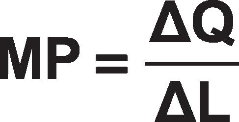 3. (α) Από τους τύπους και συμπληρώνω: Ποσότητα Εργασίας L Συνολικό Προϊόν TP ή