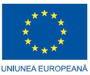 Investitii in viitorul dumneavoastra Pentru informaţii detaliate despre celelalte programe cofinanţate de