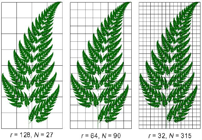 Σχήμα 4.5: Σχηματική αναπαράσταση επικάλυψης μιας φωτογραφίας μέσω τετραγώνων Ν μειούμενης πλευράς r [7]. Σχήμα 4.6: Λογαριθμικό διάγραμμα N(r)-r, η κλίση εκφράζει την ζητούμενη fractal διάσταση [7].