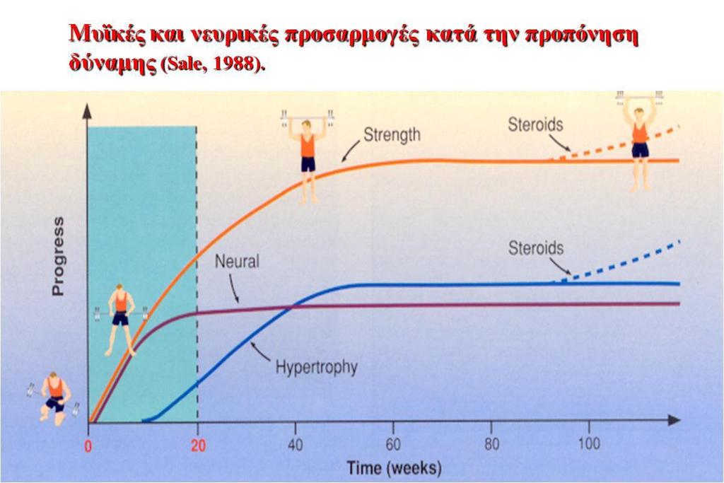 Μυϊκές και νευρικές