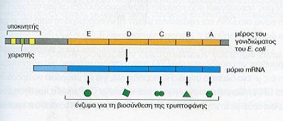 3. Ρφκμιςθ