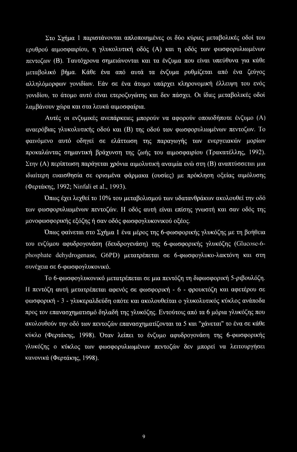 Στο Σχήμα 1 παριστάνονται απλοποιημένες οι δύο κύριες μεταβολικές οδοί του ερυθρού αιμοσφαιρίου, η γλυκολυτική οδός (Α) και η οδός των φωσφορυλιωμένων πεντοζοον (Β).