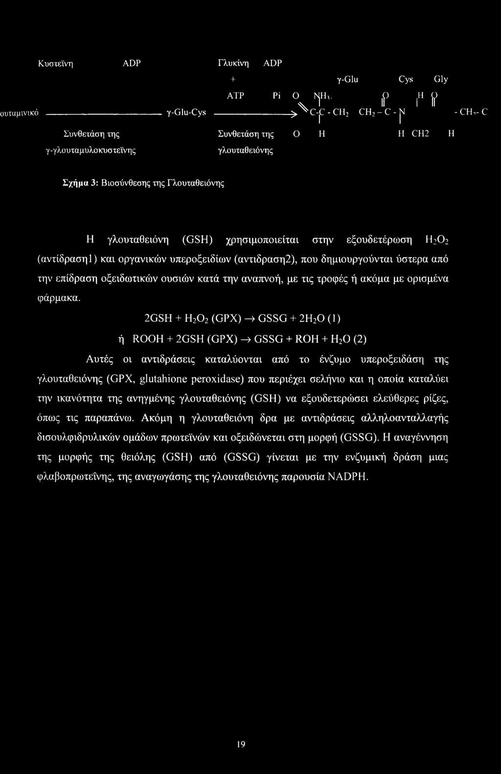 οξειδωτικών ουσιών κατά την αναπνοή, με τις τροφές ή ακόμα με ορισμένα φάρμακα.