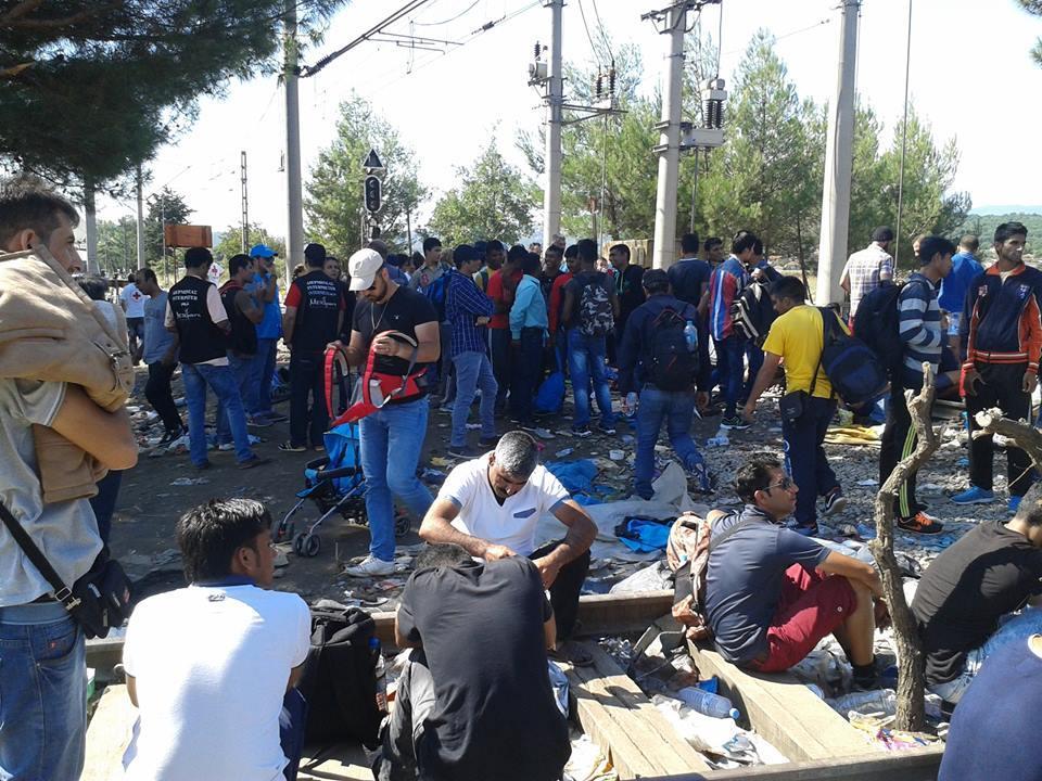 MdM - Greece started an intervention in Idomeni on the 23 rd of August 2015, when a medical and