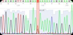 156+16g>a, rs2518144 g.13652a>c c.