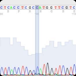Σελίδα 29 g.5077t>c c.- 1T>C rs1883832 NcoI restriction site Εικόνα 9: Εικόνα από την αλληλούχιση ενός ασθενή με CVID ο οποίος έχει τον πολυμορφισμό g.5077t>c c.-1t>c rs1883832.