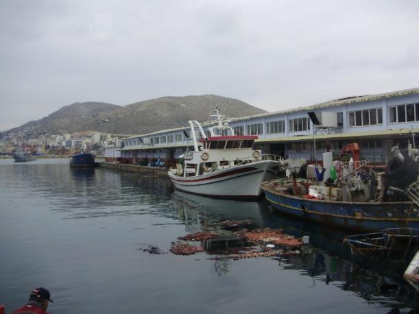 Ελπίζουμε στο μέλλον ο Σαρωνικός κόλπος να γίνει μια καθαρή θάλασσα και η ιχθυόσκαλα Κερατσινίου να δίνει φρέσκα ψάρια.