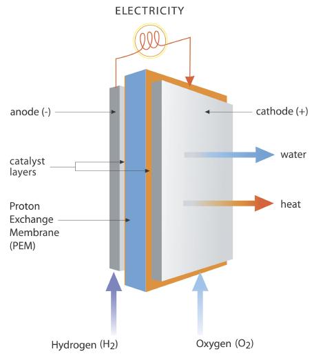 Ρύθμιση συστήματος κυψέλης καυσίμου βασισμένης σε MPC και ανίχνευση βέλτιστου σημείου λειτουργίας Εικόνα 3 - Δομή κελιού καυσίμου και ροή αντιδρώντων και προϊόντος Τα δύο ηλεκτρόδια διαχωρίζονται από