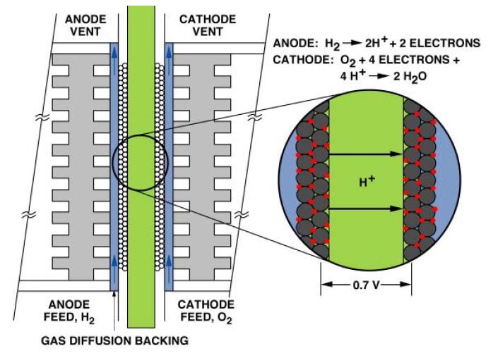 Ρύθμιση συστήματος κυψέλης καυσίμου βασισμένης σε MPC και ανίχνευση βέλτιστου σημείου λειτουργίας Εικόνα 13 - Σχηματική αναπαράσταση δομής κελιού Εικόνα