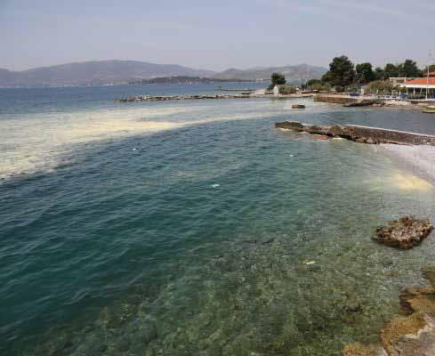 ΦΑΚΕΛΟΣ ΚΑΤAΛΛΗΛΕΣ & AΚΑΤAΛΛΗΛΕΣ ΠΑΡΑΛIΕΣ ΚΑΙ ΠOΣΙΜΟ ΝΕΡO ΙΟΥΛΙΟΣ 2017 οικο νομία 35 Ποιοι «ποιούν την νήσσαν» για την μεγάλη ρύπανση των ακτών στη Θεσσαλία; Οι μετρήσεις του ΠΑΚΟΕ κι ο «πόλεμος» των