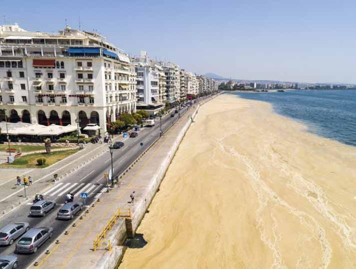 ΦΑΚΕΛΟΣ ΚΑΤAΛΛΗΛΕΣ & AΚΑΤAΛΛΗΛΕΣ ΠΑΡΑΛIΕΣ ΚΑΙ ΠOΣΙΜΟ ΝΕΡO ΙΟΥΛΙΟΣ 2017 οικο νομία 37 Γλοιώδης ουσία γέμισε τον Θερμαϊκό με λιπάσματα, φυτοφάρμακα και αστικά λύματα Η Θεσσαλονίκη είναι μια πόλη με