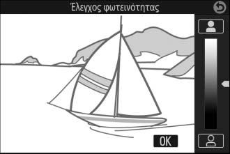 E Έλεγχος φωτεινότητας: Κάνετε τις φωτογραφίες πιο φωτεινές ή πιο σκοτεινές.