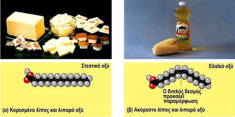 Κορεσµένα και ακόρεστα