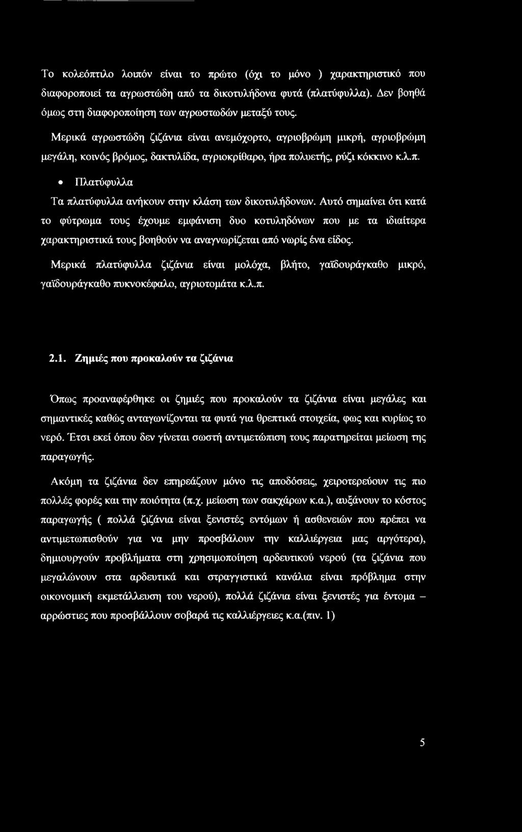 Αυτό σημαίνει ότι κατά το φύτρωμα τους έχουμε εμφάνιση δυο κοτυληδόνων που με τα ιδιαίτερα χαρακτηριστικά τους βοηθούν να αναγνωρίζεται από νωρίς ένα είδος.