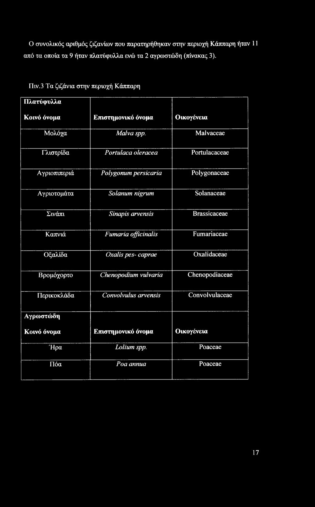 Malvaceae Γλιστρίδα Portulaca oleracea Portulacaceae Αγριοπιπεριά Polygonum persicaria Polygonaceae Αγριοτομάτα Solanum nigrum Solanaceae Σινάπι Sinapis arvensis Brassicaceae