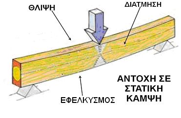 Μ η χ α ν ι κ έ ς Ι δ ι ό τ η τ ε ς Εικόνα 56: Ανάπτυξη διαφορετικών τάσεων κατά την διάρκεια της κάμψης Εικόνα 57: Στον άξονα Υ αποτυπώνεται η δύναμη που ασκείται πάνω στο ξύλο (συνήθως σε Nt ή Kp)