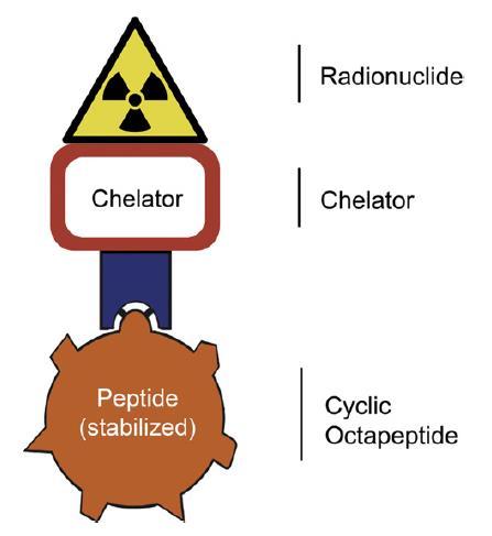 Peptide Receptor Radionuclide Therapy (PRRT) Systematic administration of radiopharmaceutical composed of a β-emitting radionuclide